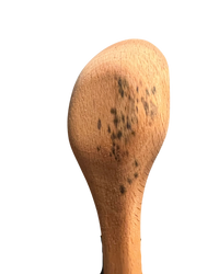 Hout / Bamboe